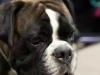 20120212-imgp0052