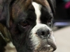 20120212-imgp0053