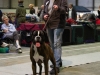 20120212-imgp0083