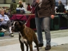 20120212-imgp0085