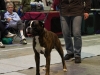 20120212-imgp0086