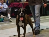 20120212-imgp0087