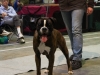 20120212-imgp0088