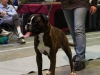 20120212-imgp0089