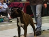 20120212-imgp0090