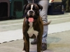 20120212-imgp0091