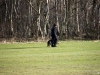 20120225-imgp0146