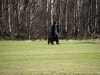 20120225-imgp0147