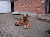 20091010-miko-imgp3830