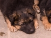 20090508-imgp0124.jpg
