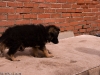 20090508-imgp0128.jpg