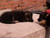 20090508-imgp0133.jpg