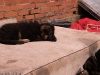 20090508-imgp0134.jpg