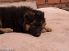 20090508-imgp0135.jpg