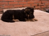 20090508-imgp0137.jpg