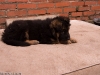 20090508-imgp0138.jpg