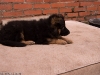 20090508-imgp0139.jpg