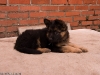 20090508-imgp0144.jpg