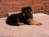 20090508-imgp0147.jpg