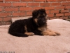 20090508-imgp0148.jpg