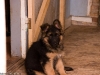 imgp0507-20090521-miko-3.jpg