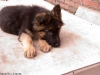 imgp0509-20090521-miko-5.jpg